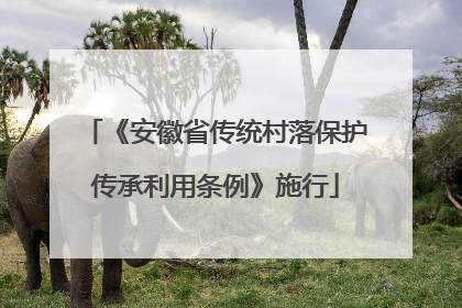 《安徽省传统村落保护传承利用条例》施行