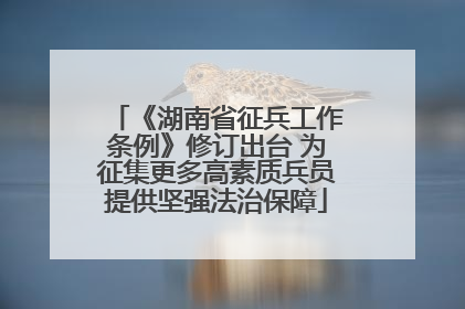 《湖南省征兵工作条例》修订出台 为征集更多高素质兵员提供坚强法治保障