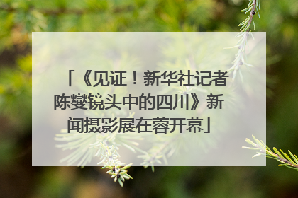 《见证！新华社记者陈燮镜头中的四川》新闻摄影展在蓉开幕