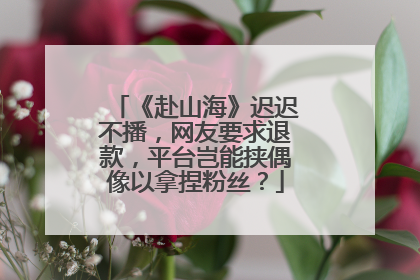《赴山海》迟迟不播，网友要求退款，平台岂能挟偶像以拿捏粉丝？