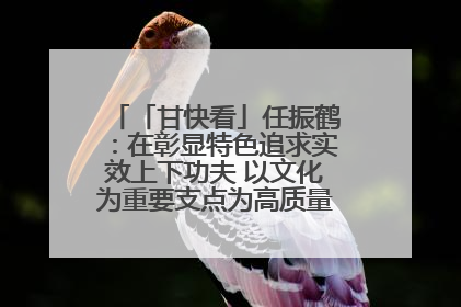 「甘快看」任振鹤：在彰显特色追求实效上下功夫 以文化为重要支点为高质量发展增添动能