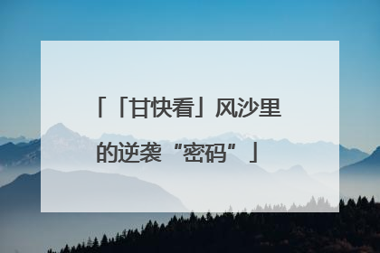 「甘快看」风沙里的逆袭“密码”