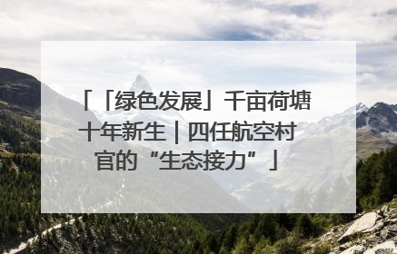 「绿色发展」千亩荷塘 十年新生｜四任航空村官的“生态接力”