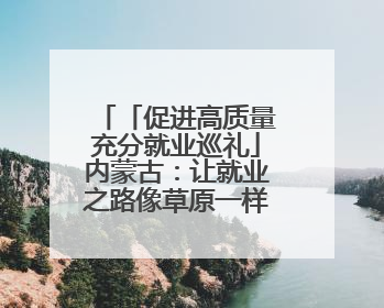 「促进高质量充分就业巡礼」内蒙古：让就业之路像草原一样宽广