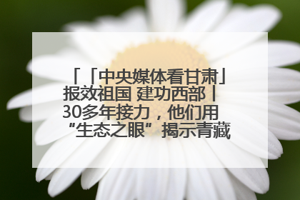 「中央媒体看甘肃」报效祖国 建功西部丨30多年接力，他们用“生态之眼”揭示青藏高原的秘密