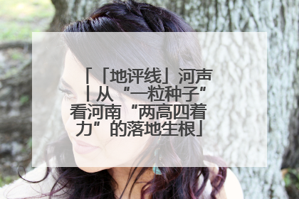 「地评线」河声丨从“一粒种子”看河南“两高四着力”的落地生根