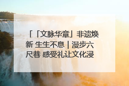 「文脉华章」非遗焕新 生生不息｜漫步六尺巷 感受礼让文化浸润的“巷”往生活