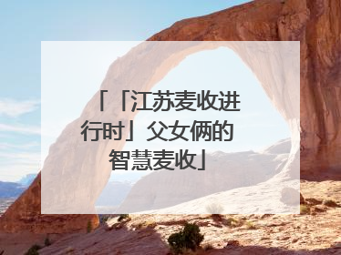 「江苏麦收进行时」父女俩的智慧麦收