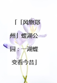 「风物郑州」蝶湖公园：一湖蝶变看今昔