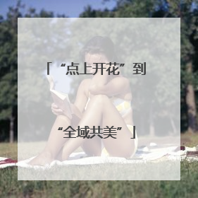 “点上开花”到“全域共美”