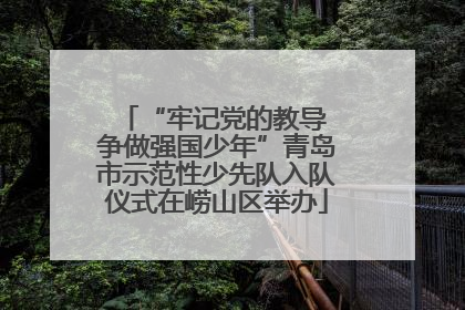 “牢记党的教导 争做强国少年”青岛市示范性少先队入队仪式在崂山区举办