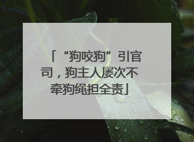 “狗咬狗”引官司，狗主人屡次不牵狗绳担全责