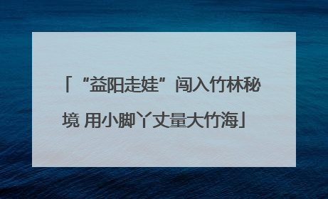“益阳走娃”闯入竹林秘境 用小脚丫丈量大竹海