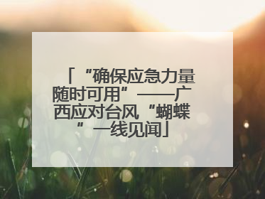 “确保应急力量随时可用”——广西应对台风“蝴蝶”一线见闻