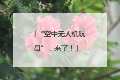 “空中无人机航母”，来了！