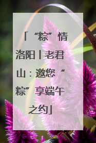 “粽”情洛阳丨老君山：邀您“粽”享端午之约