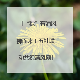“粽”有清风拂面来！五社联动共织清风网