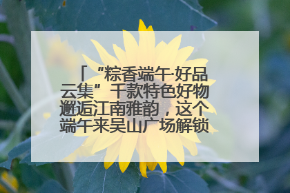 “粽香端午·好品云集”千款特色好物邂逅江南雅韵,这个端午来吴山广场解锁“浙里烟火气”
