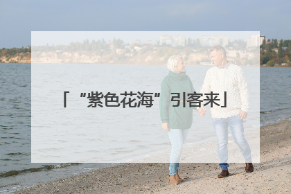 “紫色花海”引客来