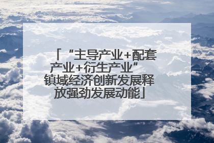 “主导产业+配套产业+衍生产业” 镇域经济创新发展释放强劲发展动能