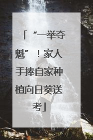 “一举夺魁”！家人手捧自家种植向日葵送考