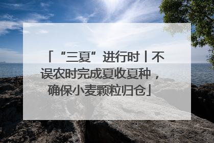 “三夏”进行时丨不误农时完成夏收夏种，确保小麦颗粒归仓