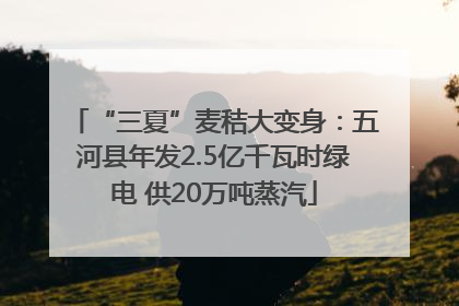 “三夏”麦秸大变身：五河县年发2.5亿千瓦时绿电 供20万吨蒸汽