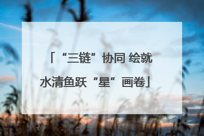 “三链”协同 绘就水清鱼跃“星”画卷