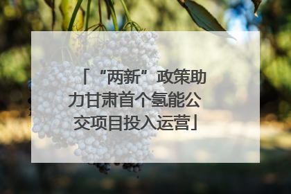 “两新”政策助力甘肃首个氢能公交项目投入运营