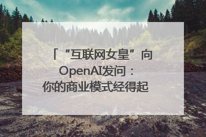 “互联网女皇”向OpenAI发问：你的商业模式经得起价格战考验么？
