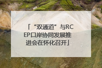 “双通道”与RCEP口岸协同发展推进会在怀化召开