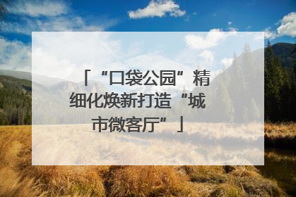 “口袋公园”精细化焕新打造“城市微客厅”