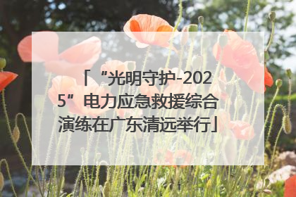 “光明守护-2025”电力应急救援综合演练在广东清远举行