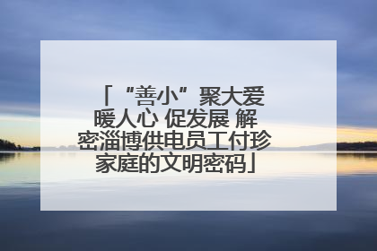 “善小”聚大爱 暖人心 促发展 解密淄博供电员工付珍家庭的文明密码