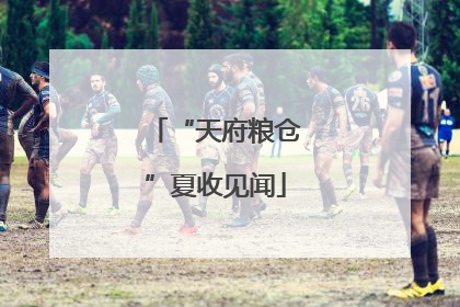“天府粮仓”夏收见闻