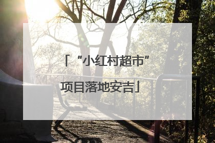 “小红村超市”项目落地安吉