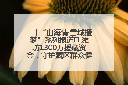 “山海情·雪域援梦”系列报道⑪ 潍坊1300万援藏资金，守护藏区群众健康“最后一公里”