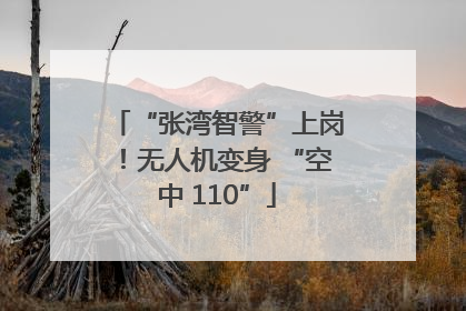 “张湾智警”上岗！无人机变身 “空中 110”