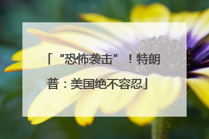 “恐怖袭击”！特朗普：美国绝不容忍