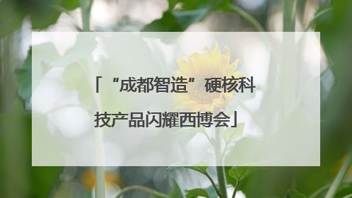 “成都智造”硬核科技产品闪耀西博会