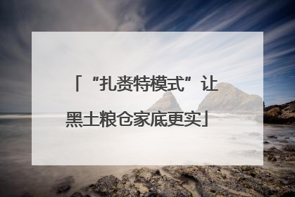 “扎赉特模式”让黑土粮仓家底更实