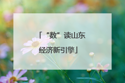 “数”读山东经济新引擎