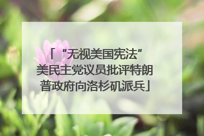 “无视美国宪法” 美民主党议员批评特朗普政府向洛杉矶派兵