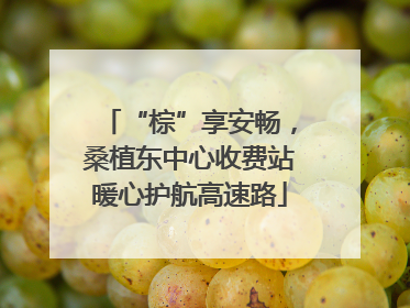 “棕”享安畅，桑植东中心收费站暖心护航高速路