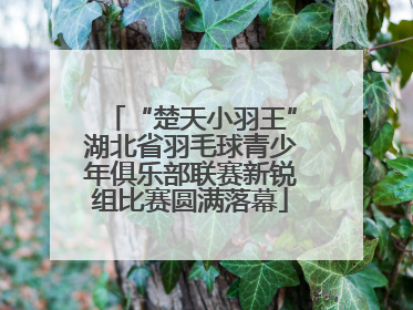 “楚天小羽王”湖北省羽毛球青少年俱乐部联赛新锐组比赛圆满落幕