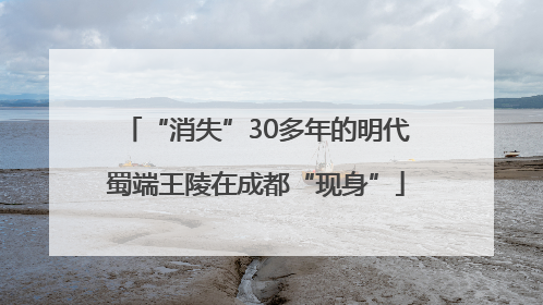“消失”30多年的明代蜀端王陵在成都“现身”
