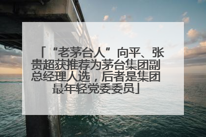 “老茅台人”向平、张贵超获推荐为茅台集团副总经理人选，后者是集团最年轻党委委员