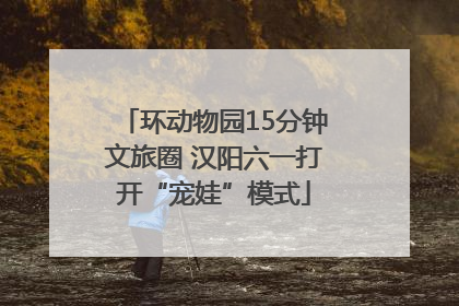 环动物园15分钟文旅圈 汉阳六一打开“宠娃”模式
