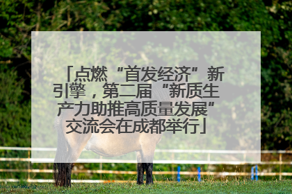 点燃“首发经济”新引擎，第二届“新质生产力助推高质量发展”交流会在成都举行