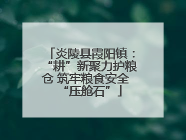 炎陵县霞阳镇：“耕”新聚力护粮仓 筑牢粮食安全“压舱石”